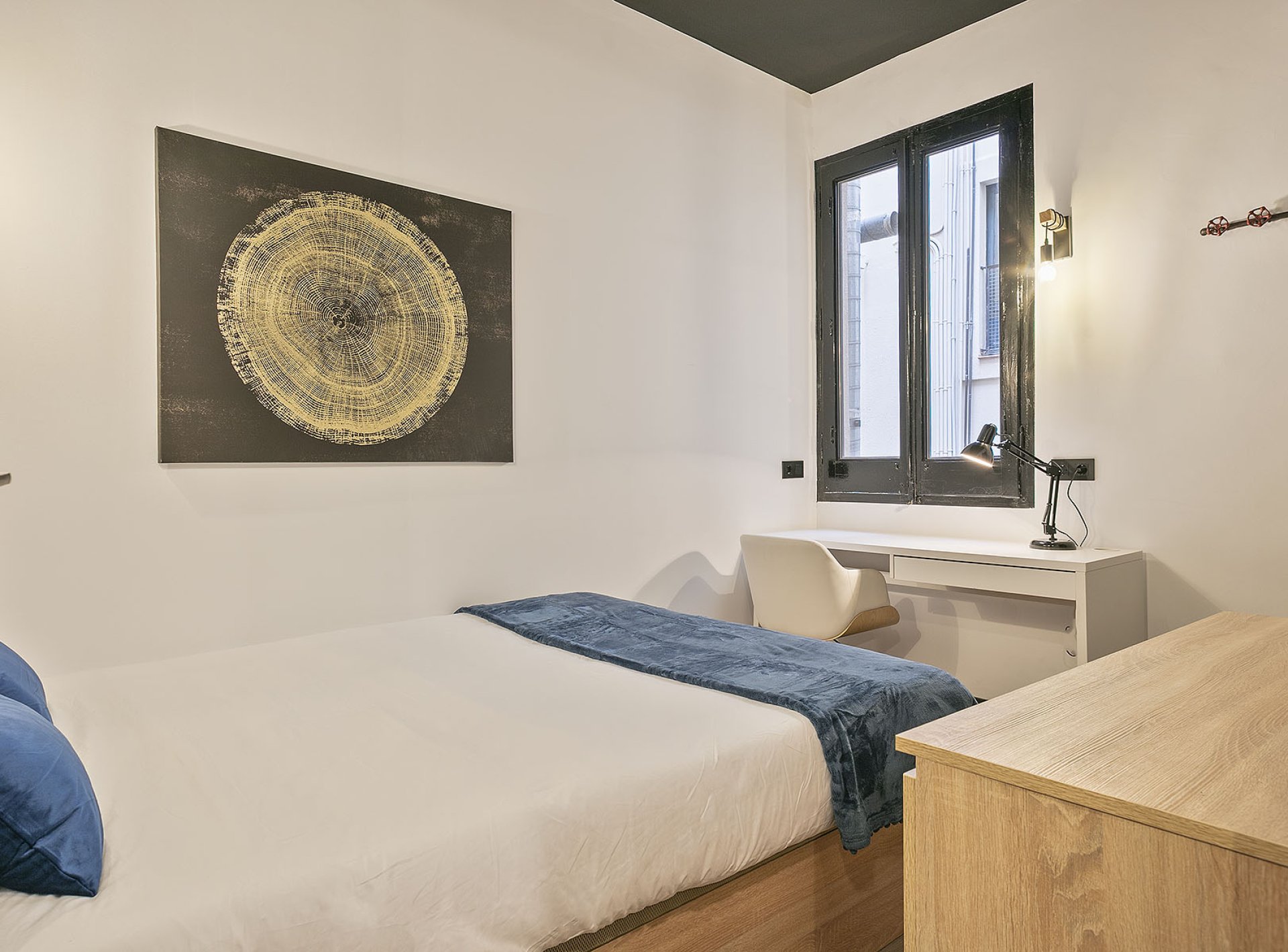barcelona-coliving_6_030579F3-22BE-DA48-3414-74F675BA6471-0